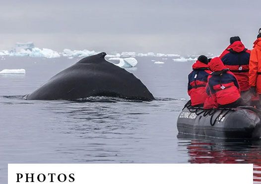 Why Your Kids Will Love Antarctica