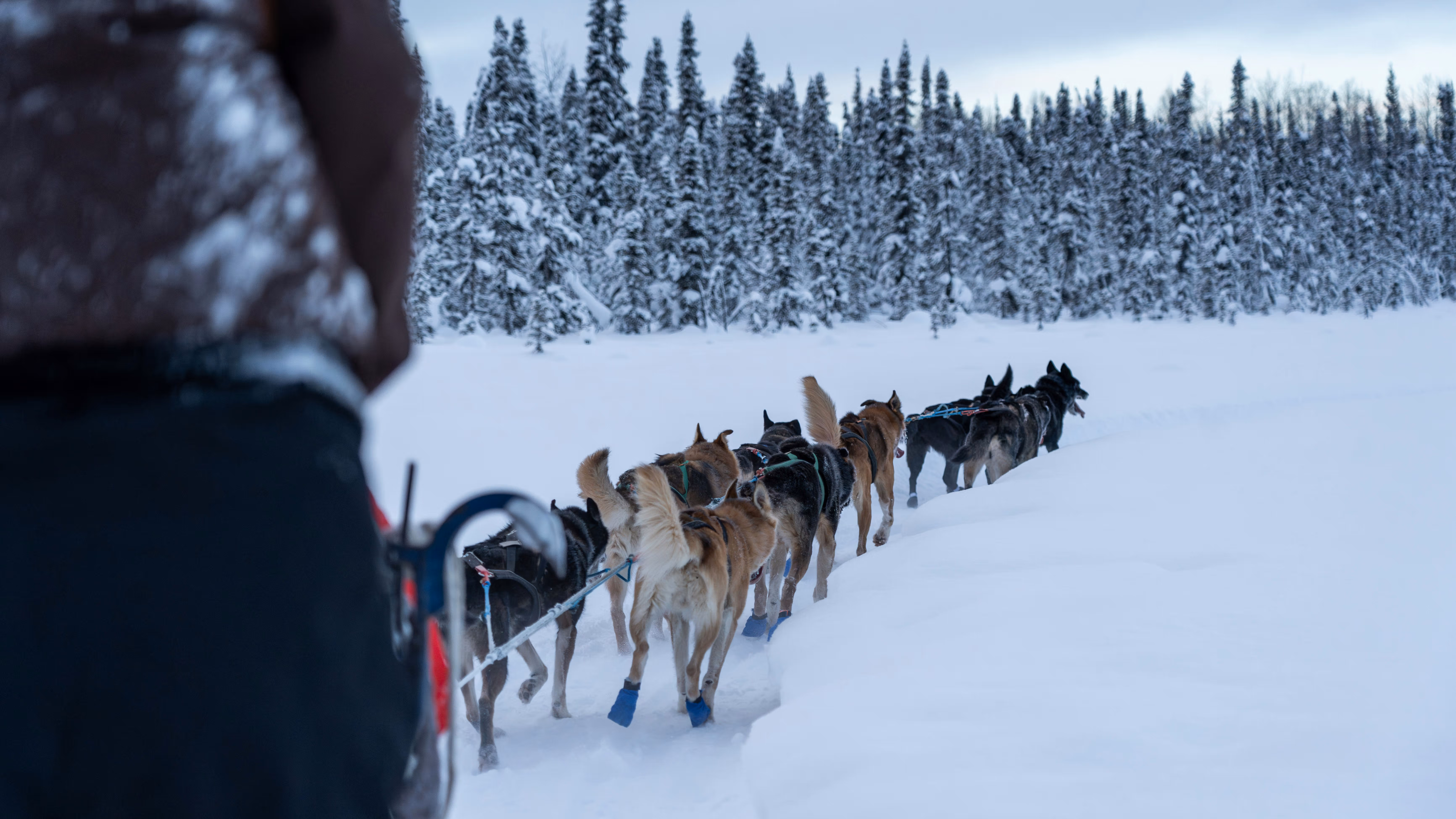 Alaska adventures