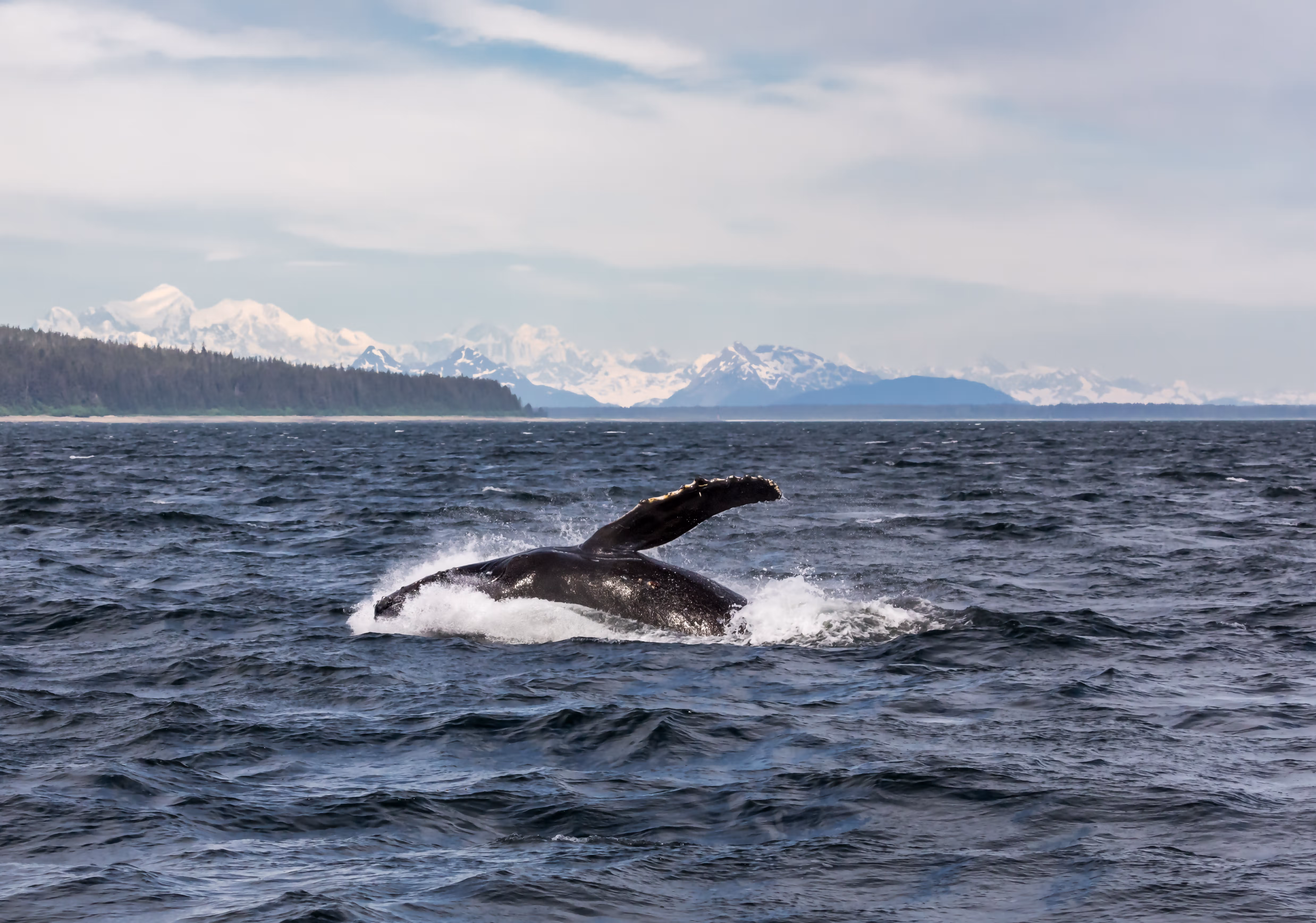 Alaska adventures