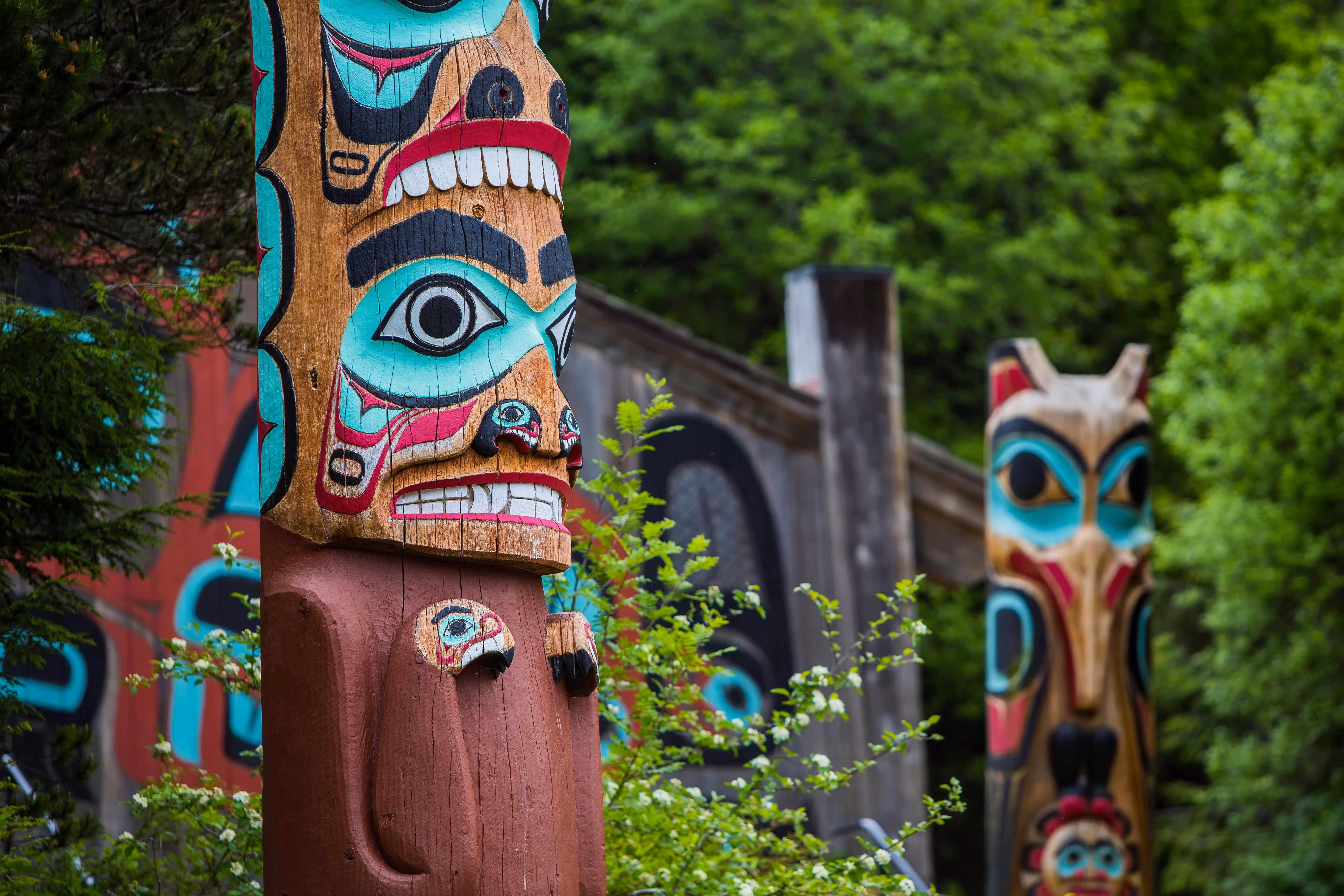 Alaska adventures