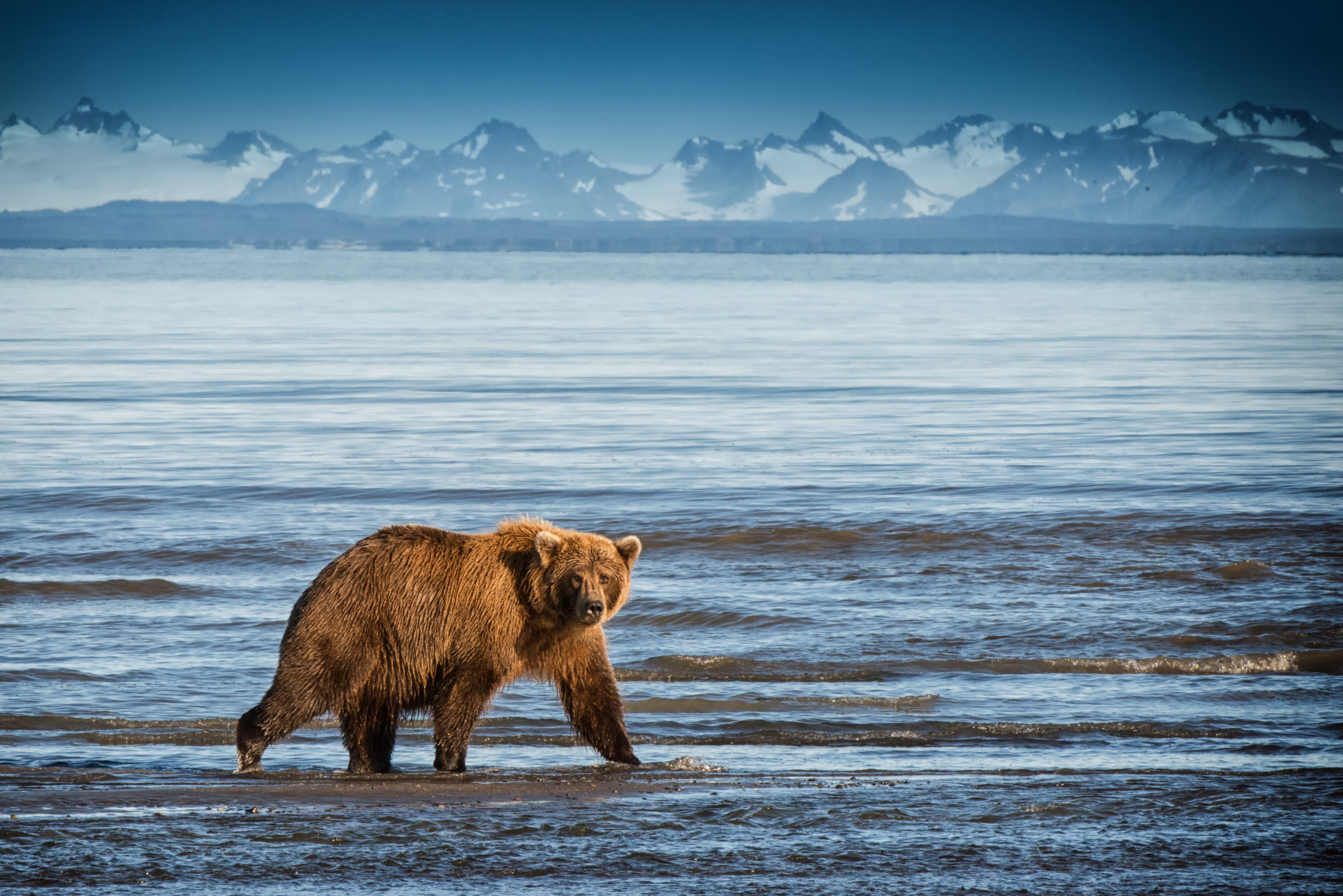 Alaska adventures