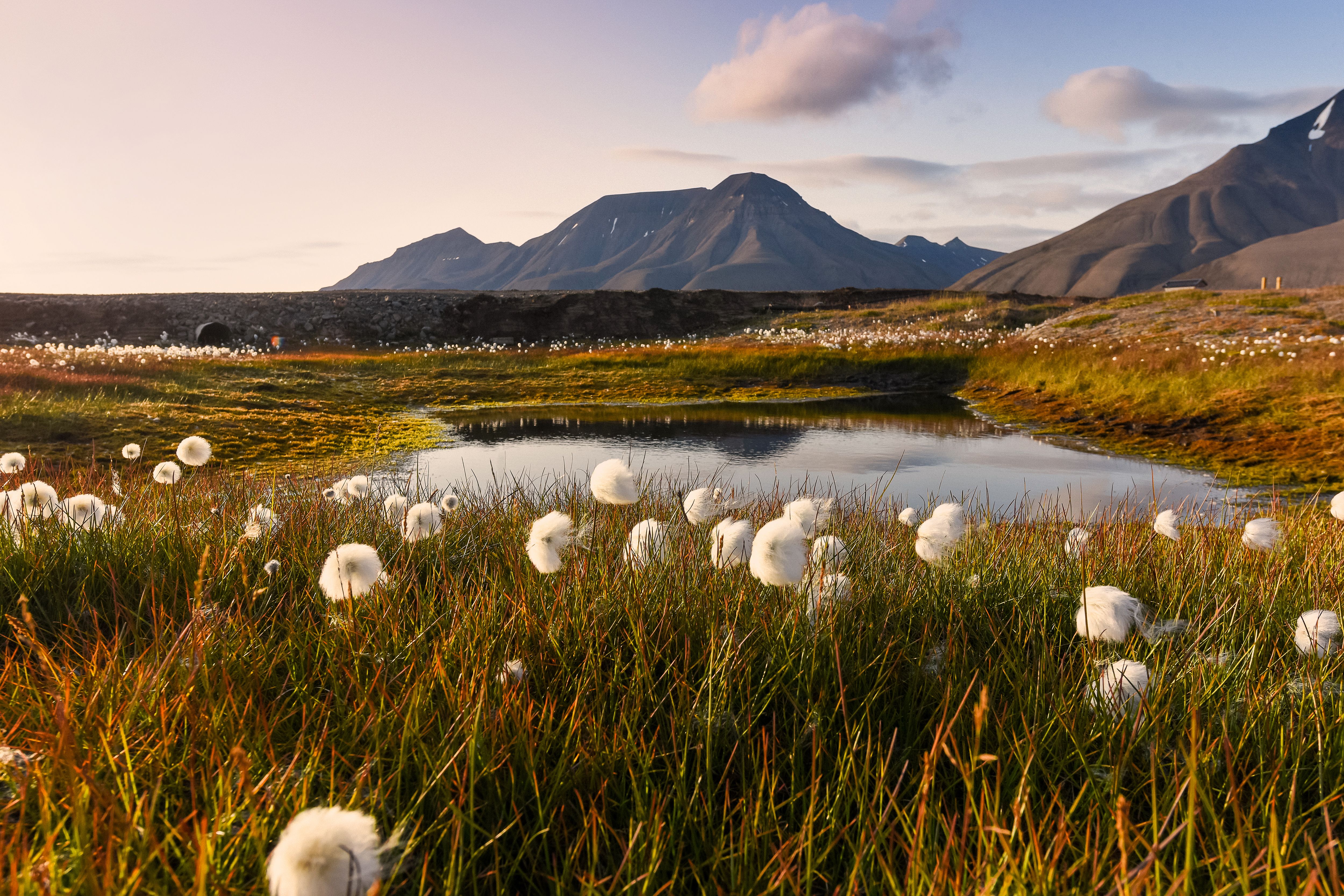 Located on a latitude of between 74° to 82° north, Svalbard is the very definition of remote